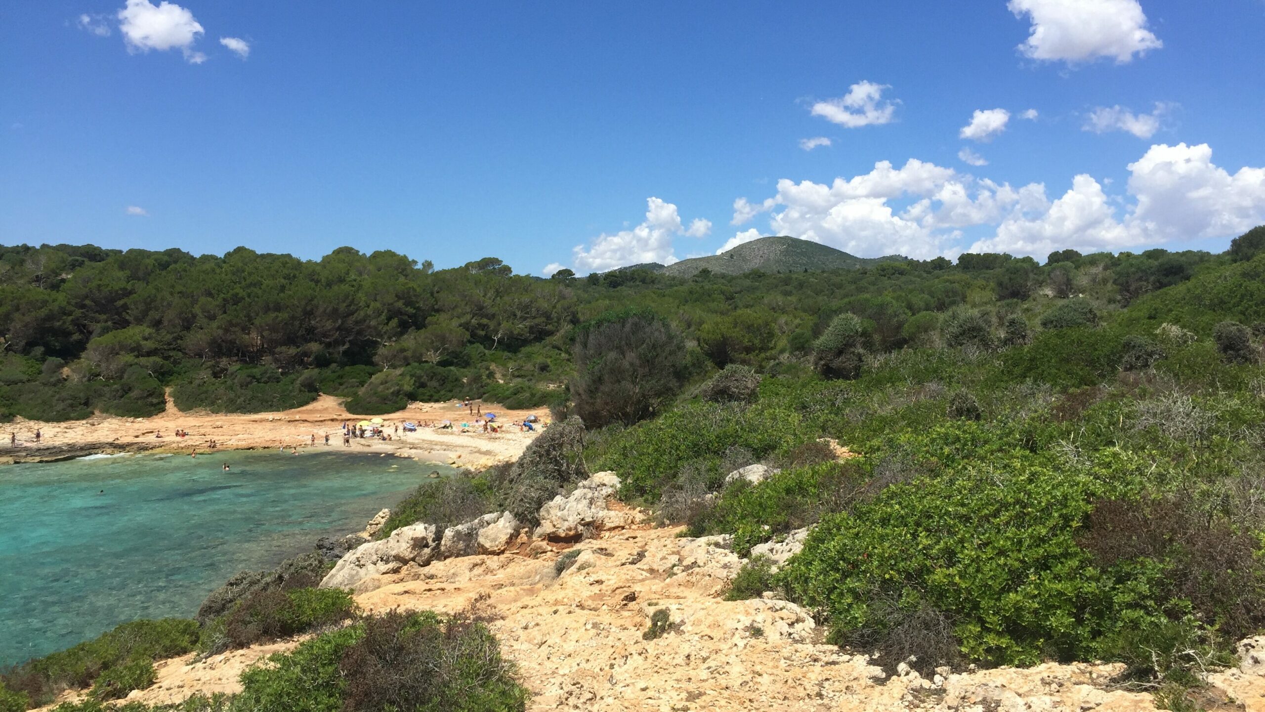 Plaża Cala Varques na Majorce, otoczona skałami i lasem