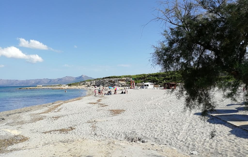 plaża Son Baulo, Can Picafort, Majorka