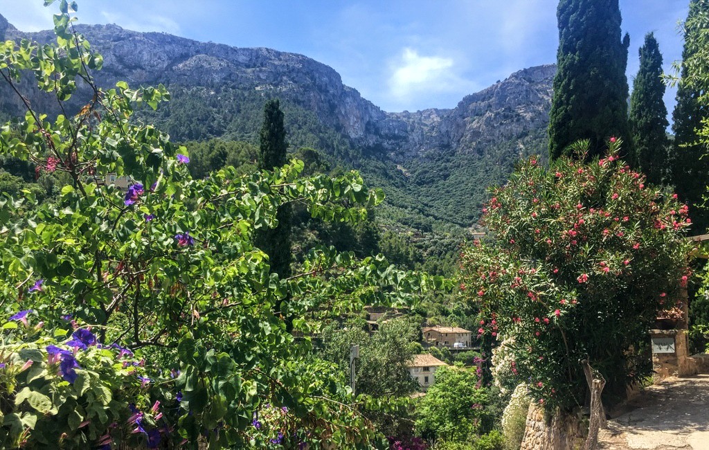 Piękne widoki w miasteczku Deia na Majorce; góry i roślinność
