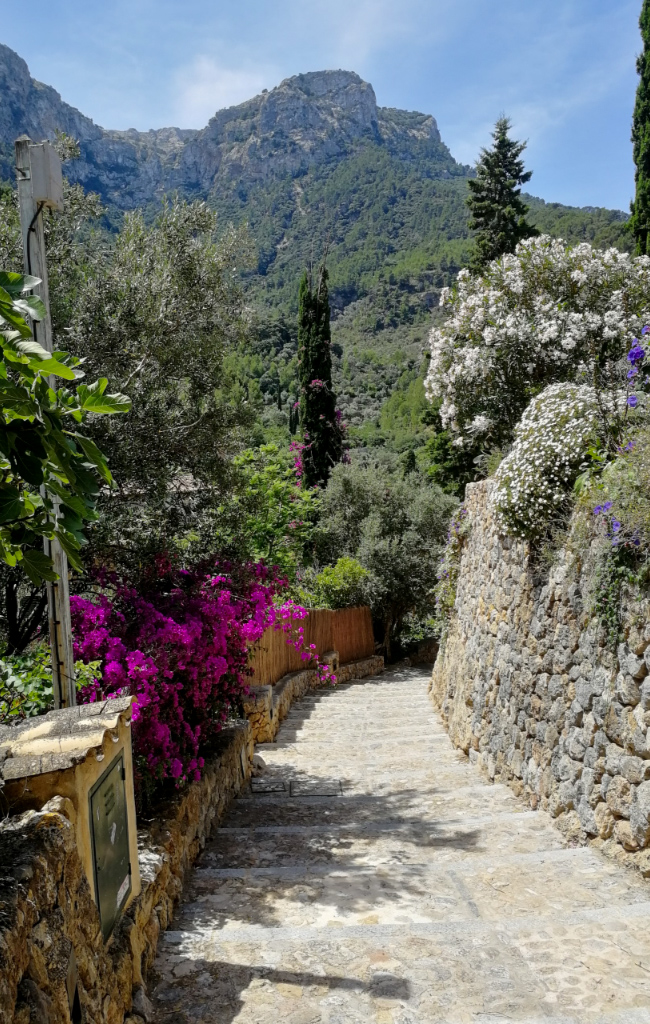 uliczka w kamiennymi schodkami w dei na Majorce