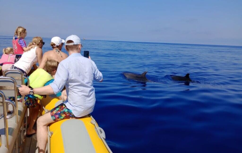 rejs z obserwacją delfinów, Can Picafort, Majorka