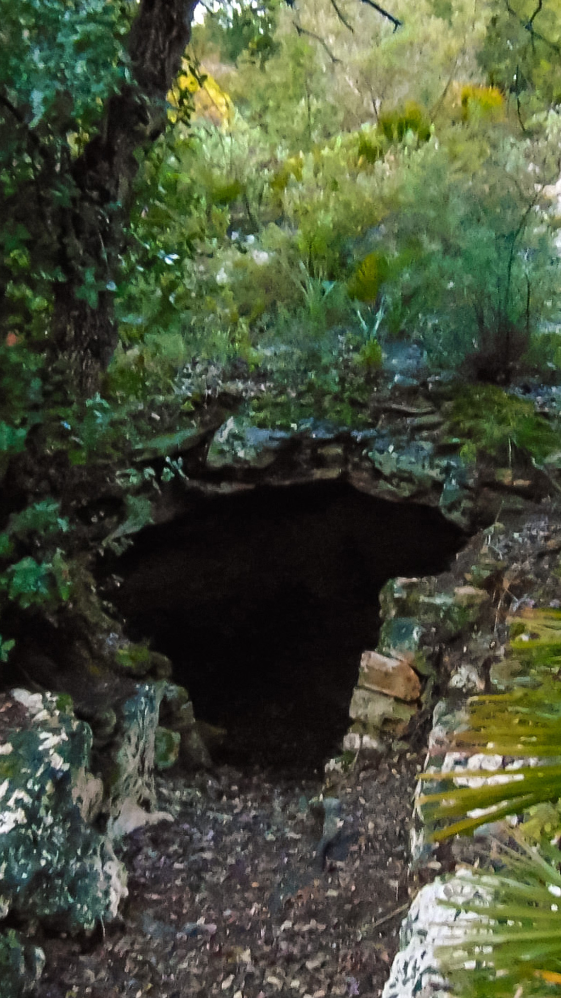 jaskinie l'Alzinaret w Cala Sant Vicenç na Majorce